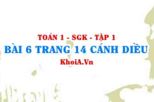 Bài 6 trang 14 Toán 12 tập 1 Cánh Diều